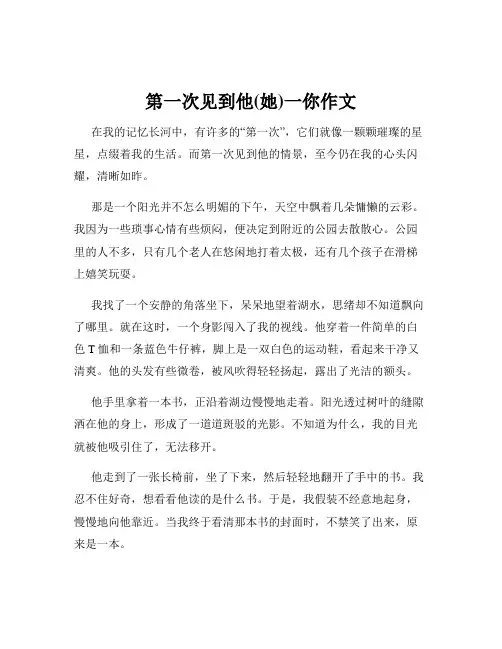 第一次见到他(她)一你作文