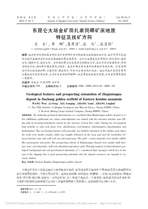 东昆仑大场金矿田扎家同哪矿床地质特征及找矿方向_王文