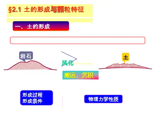 土的三相组成课件