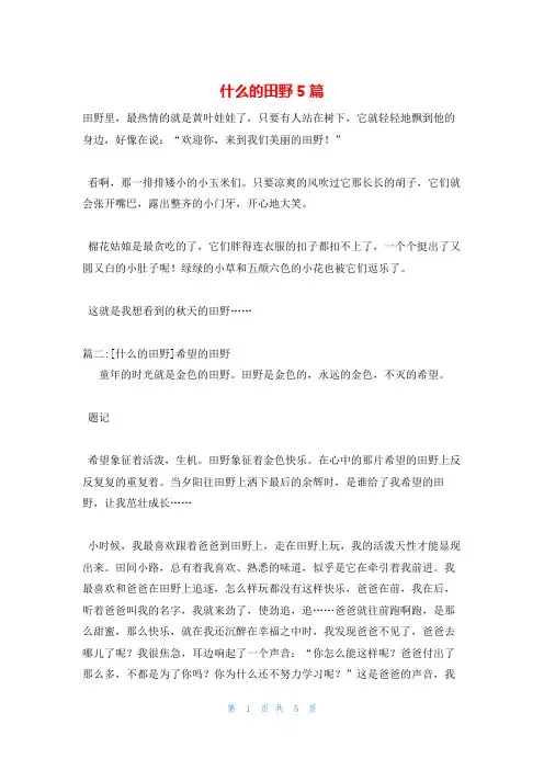 什么的田野5篇