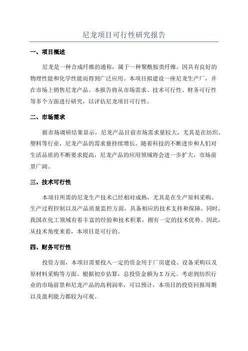 尼龙项目可行性研究报告