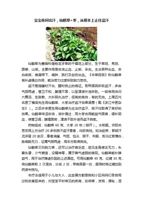 宝宝夜间出汗，仙鹤草+枣，从根本上止住盗汗