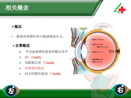 非接触式眼压测量操作流程参考ppt课件.ppt