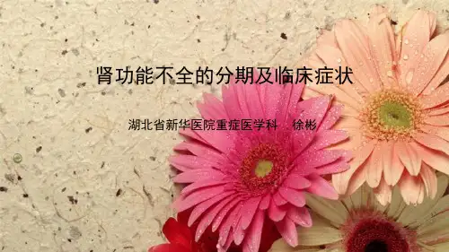 肾功能不全的分期及临床症状