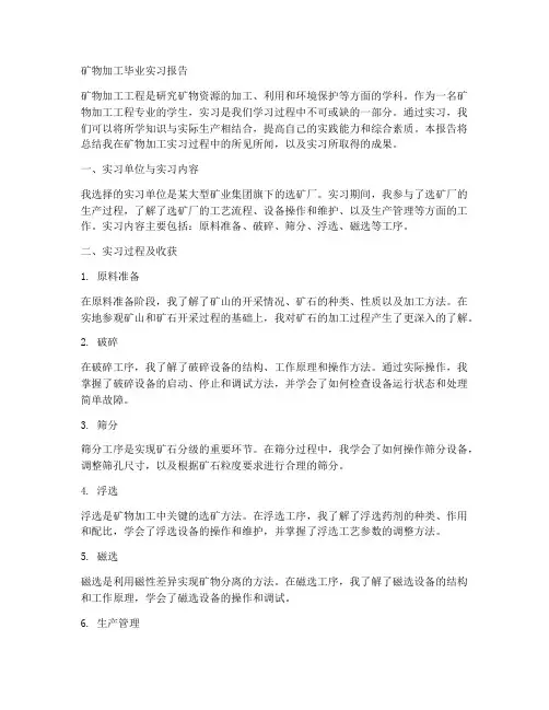 矿物加工毕业实习报告