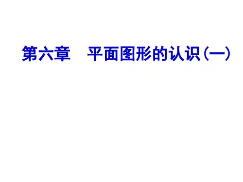 第6章平面图形的认识一期末复习.ppt