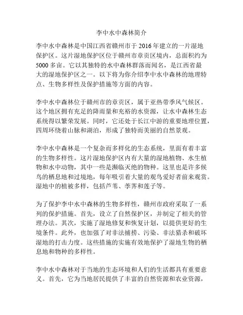 李中水中森林简介