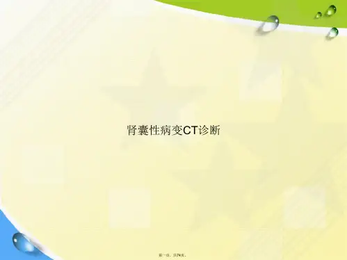肾囊性病变CT诊断2讲课文档