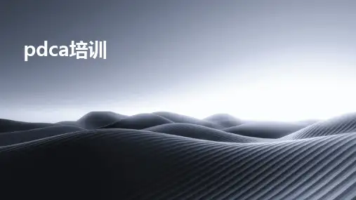 pdca培训