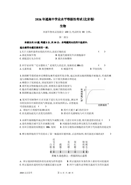 2024年北京高考真题生物(解析版)