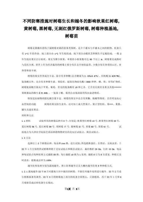 不同防寒措施对树莓生长和越冬的影响秋果红树莓,黄树莓,黑树莓,无刺红俄罗斯树莓,树莓种植基地,树莓苗