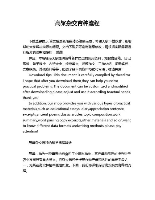 高粱杂交育种流程