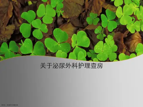 泌尿外科护理查房