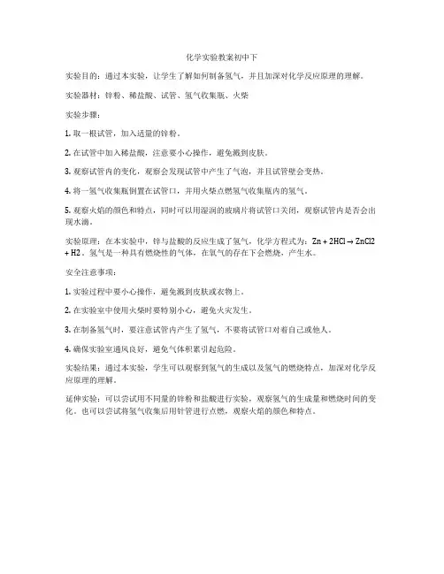 化学实验教案初中下