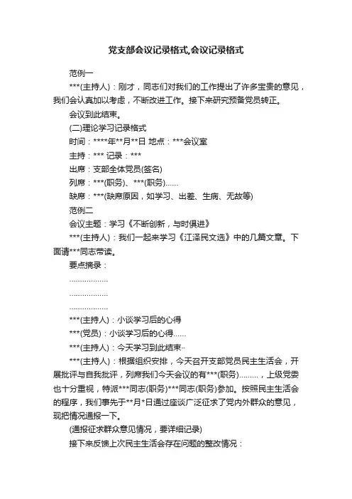 党支部会议记录格式,会议记录格式