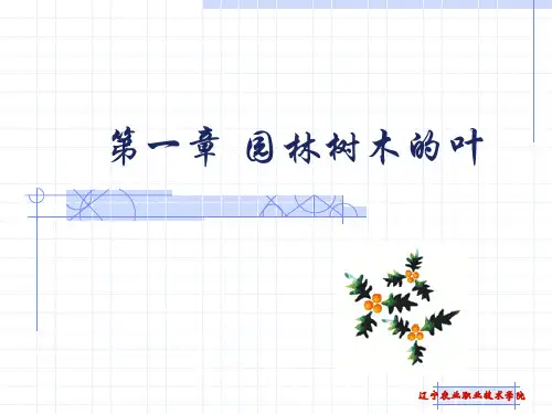 第一章 园林树木的叶