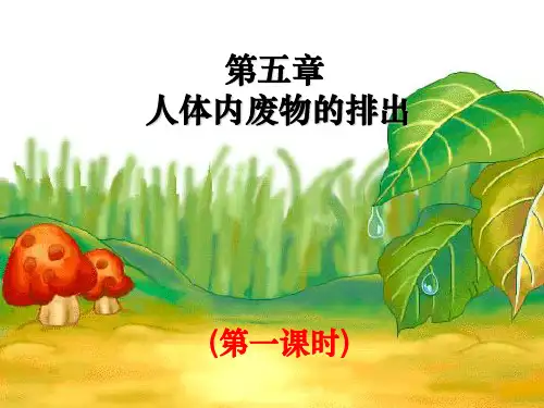 人体内废物的排出-完整ppt课件
