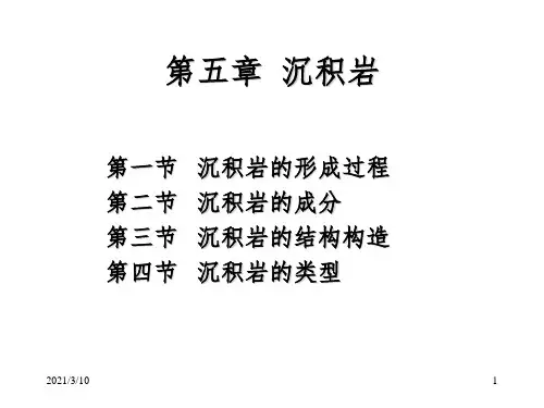 沉积岩课件PPT