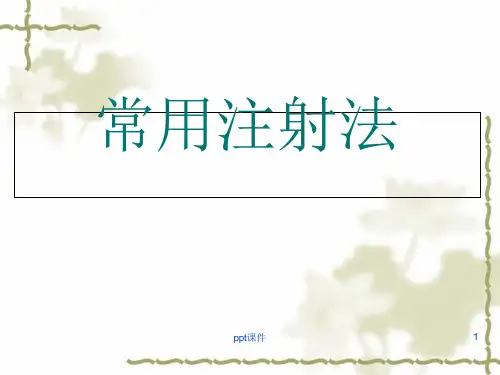 常用注射法课件