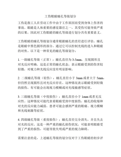 工伤眼睛瞳孔等级划分