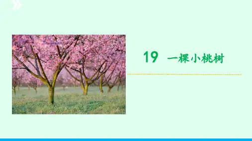 《一棵小桃树》ppt课件