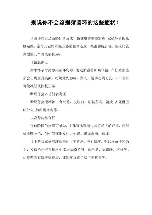 别说你不会鉴别猪圆环这些症状