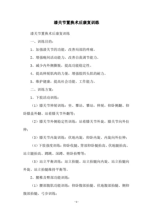 漆关节置换术后康复训练