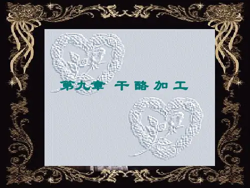 九、干酪加工