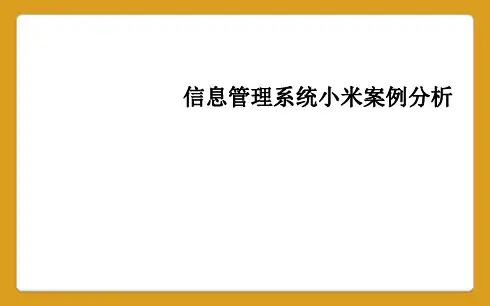 信息管理系统小米案例分析