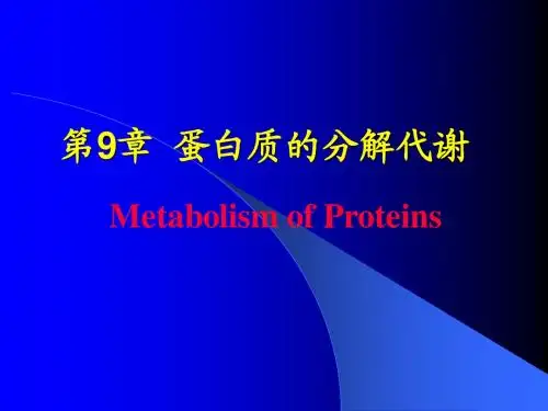 生物化学蛋白质的分解代谢