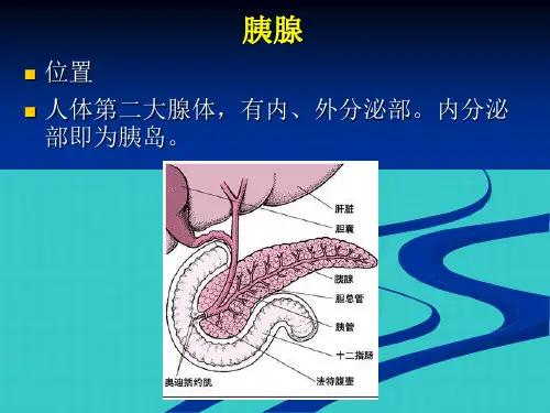国内胰岛素的种类及用法