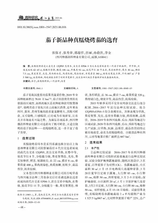 茄子新品种真糯烧烤茄的选育