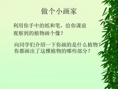 青岛版科学四上《物的身体》PPT课件1-教育资料
