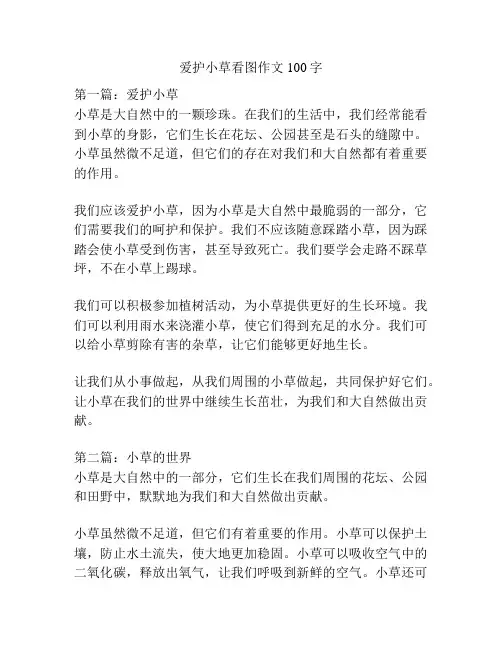 爱护小草看图作文100字