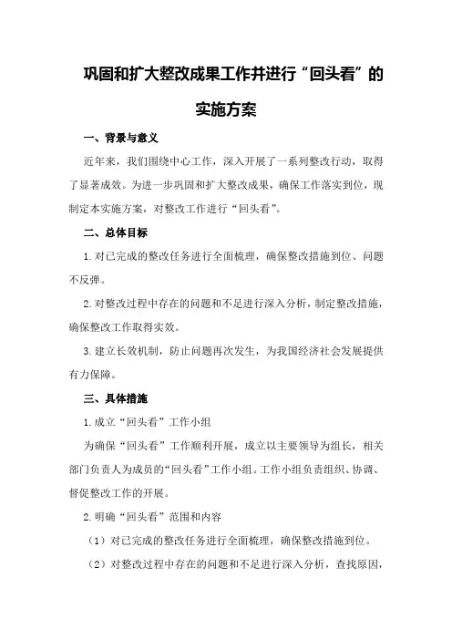 巩固和扩大整改成果工作并进行“回头看”的实施方案