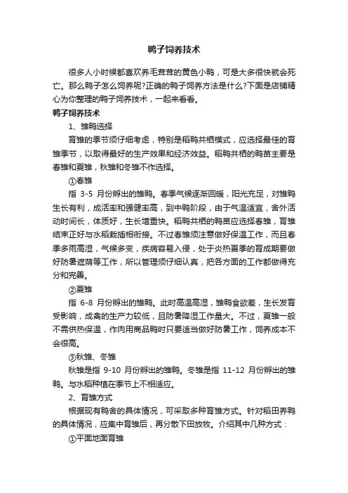 鸭子饲养技术