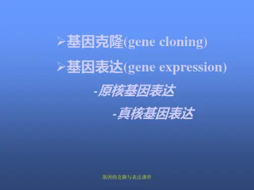 基因的克隆与表达课件