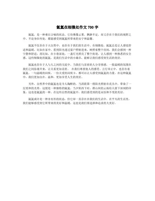 氤氲在细微处作文700字