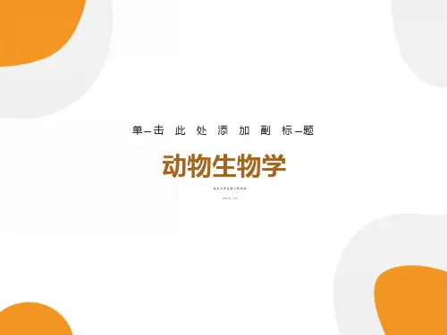 动物生物学-无体腔生物