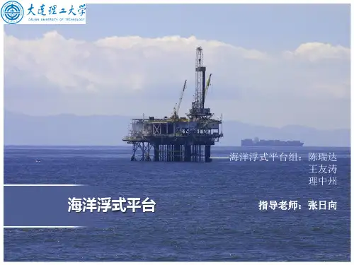 海洋浮式平台