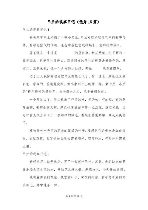 吊兰的观察日记(优秀15篇)