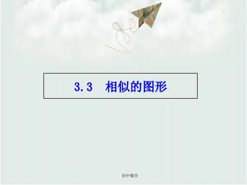 湘教版九年级数学上册课件：3.3   相似的图形 (共16张PPT)