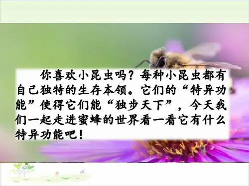 三年级语文下册ppt-14蜜蜂2-优秀课件-部编版(共49页)