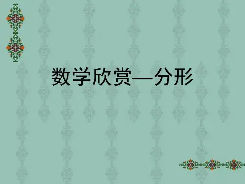 数学欣赏—分形
