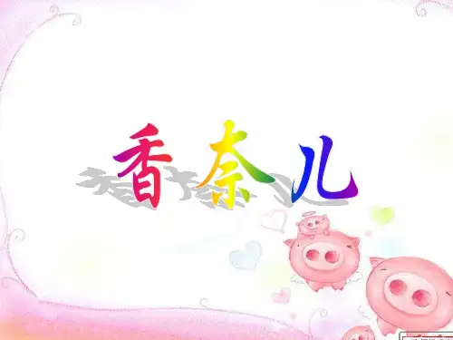 香奈儿企业介绍ppt