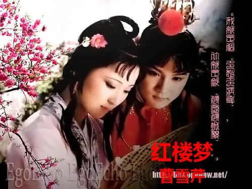 《宝玉挨打》ppt课件6