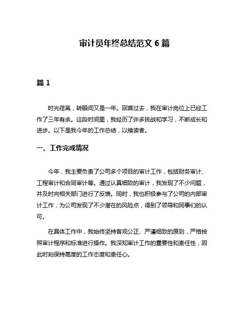 审计员年终总结范文6篇