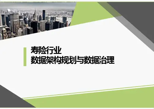 寿险行业数据治理规划架构设计方案