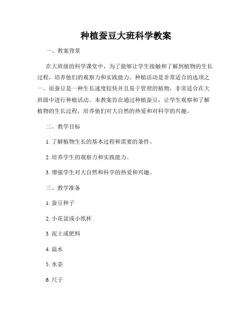 种植蚕豆大班科学教案