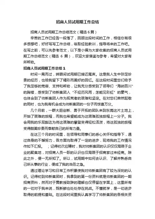 招商人员试用期工作总结